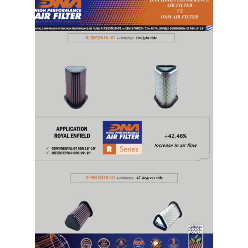 DNA Filtre à air Premium pour Interceptor 650 (18-19) R-RE65N18-01