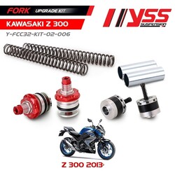 Fork Upgrade Kit Kawasaki Z300 13-17