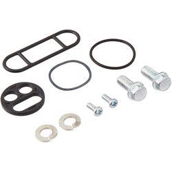 Fuel Tap Repair Kit Model 60-1132