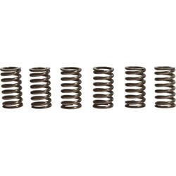 Clutch Spring Kit MEF106-6