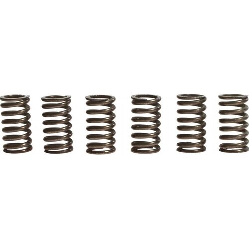 TRW Clutch Spring Kit MEF124-6