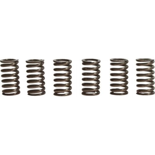 TRW Clutch Spring Kit MEF132-6