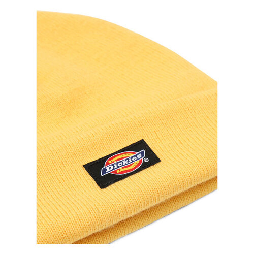 Dickies Gibsland Beanie Apricot