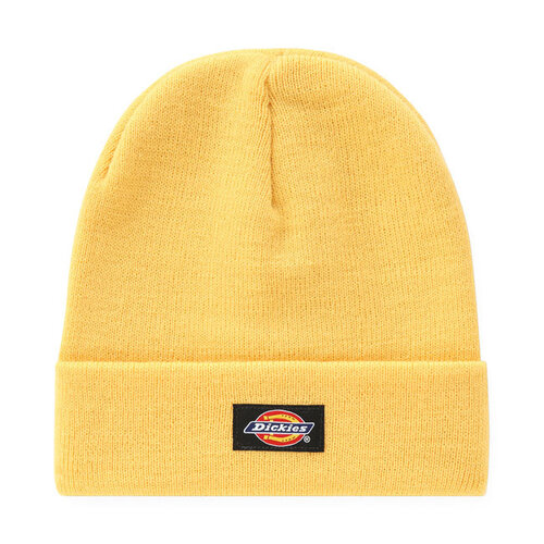 Dickies Gibsland Beanie Apricot