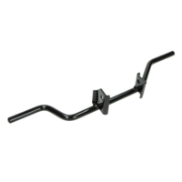 Basis Yamaha FS1