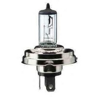 12V 45/40W P45T (1 Piece)