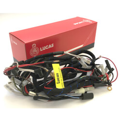 Wiring Harness Headlamp (Choose Variant) (OEM: LU54959532 or LU5496071)