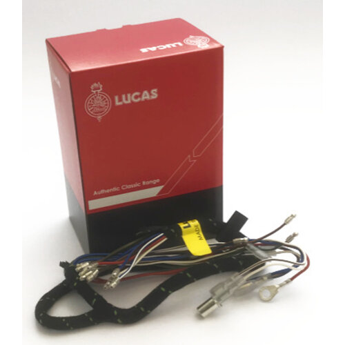 Faisceau de Câblage Phare (Choisissez une Variante) (OEM : LU54959532 ou LU5496071)