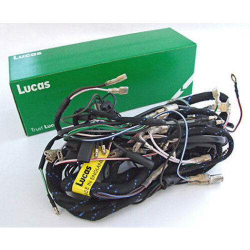 Wiring Harness (OEM:  LU54938941)