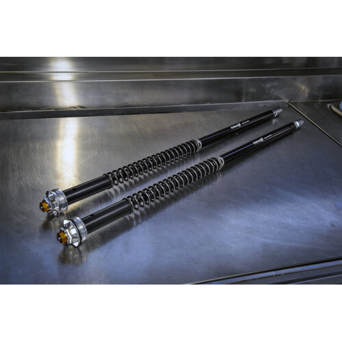 Misano Evo BMW R 1200 R 15 | (Marzocchi 45 rov.)