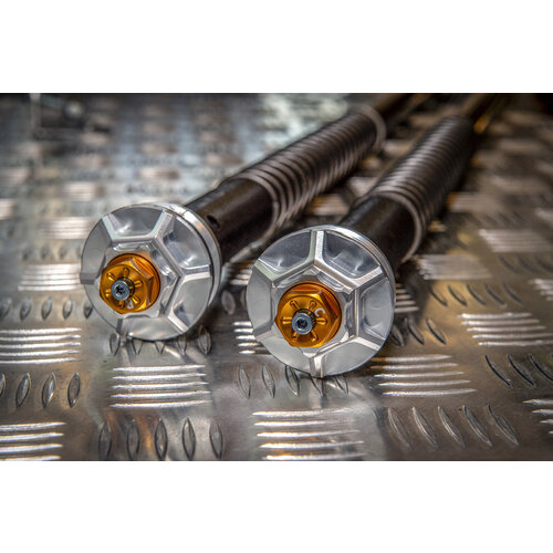 Andreani Misano Evo Ducati MONSTER 796 10-14 (Fourche Marzocchi 43)