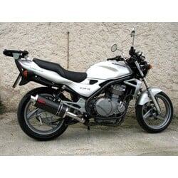 OVAL Exhaust for Kawasaki ER-5 | (Choose Material)