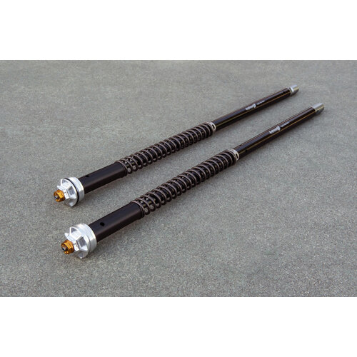 Misano Evo Ducati MONSTER S4R 2003-05 | (Fork Showa 43)