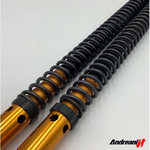 Misano Rallyrace Ducati Scrambler Desert Sled 2017> Kayab