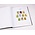 Supplement year: 2019 - Netherlands - type: DeLuxe - sheets for Stamps out of Blocks (2), N°: 294a-295a, 297a, 298a, 299a, 300a, 301a, 303a, 304a (9 pcs.) - Davo (2 Holes)