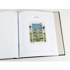 Supplement jaar: 2016 - Nederland - type: DeLuxe - bladen voor Zegels uit Velletjes (4), nr's: V140a-V140b, V141a, V141b, V142a, V144a, V144b, V144c, V144d, V145a, V145b (11 st.) - Davo (2 Gats)