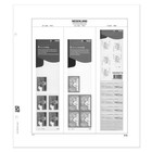 Supplément année: 2006 - Pays-Bas - type: DeLuxe - feuille pour Carnets, N°: C15(incl. map) - Davo (2 Trous)