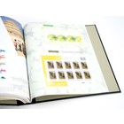 Supplement jaar: 2020 - Nederland - type: DeLuxe - bladen voor Geïllustreerd Verzamelen Velletjes, nr's: 2020/3.1-2020/3.3 (3 st.) - Davo (2 Gats)