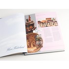 Supplement year: 2014 - Netherlands - sheets for Beautiful Netherlands Illustrated, nr's: 2014/5.1-2014/5.5 (5 pcs.) - Davo, DeLuxe preprint sheets