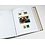 Supplement year: 2018 - Belgium - sheets for Basic album, nr's: 295-297, B211-222 (16 pcs.) - Davo, DeLuxe preprint sheets
