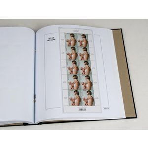 Supplément année: 2017 - Belgique - type: DeLuxe - feuilles pour Feuillets (1d), N°: 2017-V1-V3 (3 pcs.) - Davo (2 Trous)