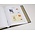 Supplement year: 2006 - Belgium - type: DeLuxe - sheets for Postcards (CK), N°: CK73-80 (8 pcs.) - Davo (2 Holes)