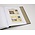 Supplement year: 2008 - Belgium - type: DeLuxe - sheets for Postcards (CK), N°: CK89-93 (5 pcs.) - Davo (2 Holes)