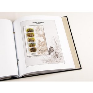 Supplement year: 2015 - Belgium - type: DeLuxe - Zwart, N°: 12- (1 pc.) - Davo (2 Holes)