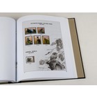 Nachtrag Jahr: 2017 - Belgien - Typ: DeLuxe - Blatt für Buzin-Briefmarken, N°: 14- (1 Stk.) - Davo (2 Löcher)