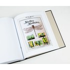 Supplément année: 2018 - Belgique - type: DeLuxe - feuille pour Timbres Buzin, N°: 15- (1 pc.) - Davo (2 Trous)