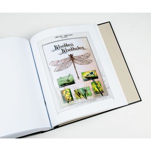 Nachtrag Jahr: 2018 - Belgien - Typ: DeLuxe - Blatt für Buzin-Briefmarken, N°: 15- (1 Stk.) - Davo (2 Löcher)