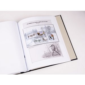 Supplement year: 2019 - Belgium - type: DeLuxe - Zwart, N°: 16- (1 pc.) - Davo (2 Holes)