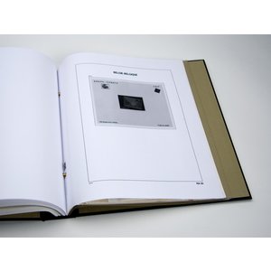 Supplement year: 2010 - Belgium - sheet for Non Adopted draft (6), nr: NA20 - Davo, DeLuxe preprint sheets