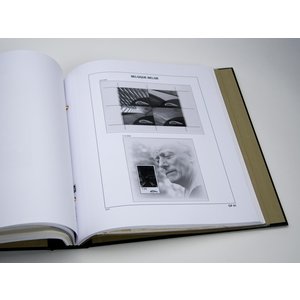 Supplement year: 2009 - Belgium - sheet for Service and postage stamps, Booklets, Railways, nr: CP41 - Davo, DeLuxe preprint sheets
