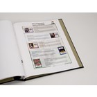 Supplement year: 2009 - Belgium - sheets for This is Belgium, nr's: 2009-1-2 (2 pcs.) - Davo, DeLuxe preprint sheets