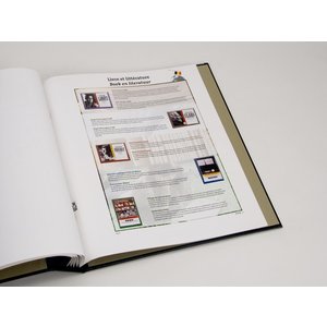 Supplement year: 2009 - Belgium - type: DeLuxe - sheets for This is Belgium, N°: 2009-1-2 (2 pcs.) - Davo (2 Holes)