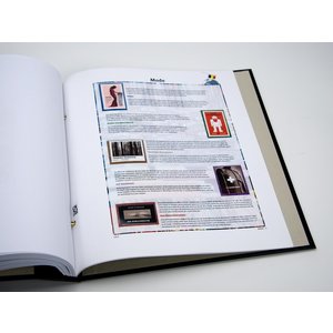 Supplément année: 2010 - Belgique - type: DeLuxe - feuilles pour This is Belgium, N°: 2010-1-2 (2 pcs.) - Davo (2 Trous)