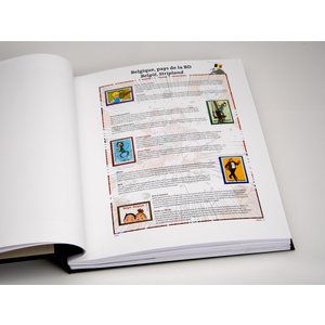 Supplement year: 2012 - Belgium - type: DeLuxe - sheets for This is Belgium, N°: 2012-1-2 (2 pcs.) - Davo (2 Holes)