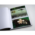 Supplement year: 2011 - Belgium - sheets for Community issues, nr: Finland (2 pcs.) - Davo, DeLuxe preprint sheets