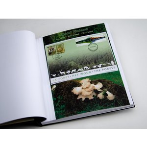 Supplément année: 2011 - Belgique - type: DeLuxe - feuilles pour Émissions communautaires, N°:  -Finland (2 pcs.) - Davo (2 Trous)