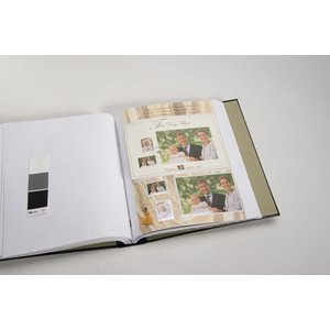 Supplement year: 2002 - Belgium - type: DeLuxe - sheets for Community issues, N°:  -Prinses Elisabeth (2 pcs.) - Davo (2 Holes)