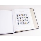 Supplément année: 2019 - Caraïbes Pays-Bas - type: DeLuxe - feuilles pour Album de base, N°: 2019 1-B1, B2 (3 pcs.) - Davo (2 Trous)