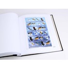 Supplément année: 2020 - Saint-Martin - type: DeLuxe - feuilles pour Album de base, N°: 2020 1-B1, B2 (3 pcs.) - Davo (2 Trous)