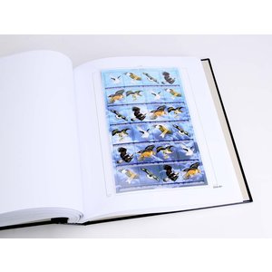 Supplement year: 2020 - Saint Martin - type: DeLuxe - sheets for Basic album, N°: 2020 1-B1, B2 (3 pcs.) - Davo (2 Holes)