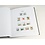 Supplement year: 2015 - Denmark - type: DeLuxe - sheets for Basic album, N°: 142-144, B37-38 (5 pcs.) - Davo (2 Holes)