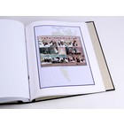Supplement year: 2020 - Christmas Seals Jöl - type: DeLuxe - sheet for Basic album, N°: Jöl 2020 - Davo (2 Holes)