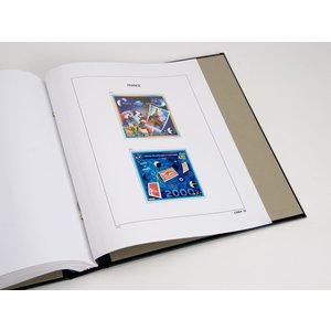 Supplément année: 2020 - France - type: DeLuxe - feuille pour C.N.E.P. Blocs, N°: CNEP36- (1 pc.) - Davo (2 Trous)