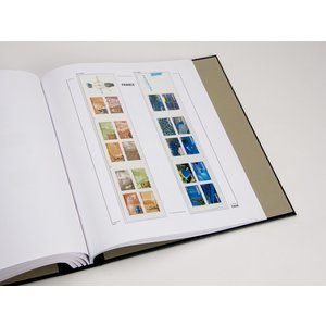 Supplément année: 2007 - France - type: DeLuxe - feuilles pour Carnets, N°: CN38a-39a (2 pcs.) - Davo (2 Trous)