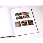 Supplement year: 2019 - Great-Britain - type: DeLuxe - sheets for Basic album, N°: 282-288, B82-86 (12 pcs.) - Davo (2 Holes)