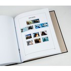 Supplement year: 2018 - Falkland Dependencies (South Georgia & Sandwich Islands) - type: DeLuxe - sheets for Basic album, N°: 76-77, B27 (3 pcs.) - Davo (2 Holes)
